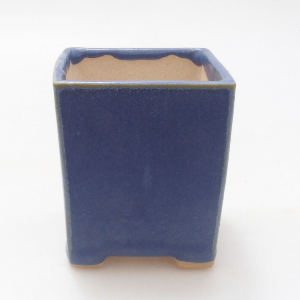 Mini bonsaischaal 5,5 x 5,5 x 6,5 cm, kleur blauw