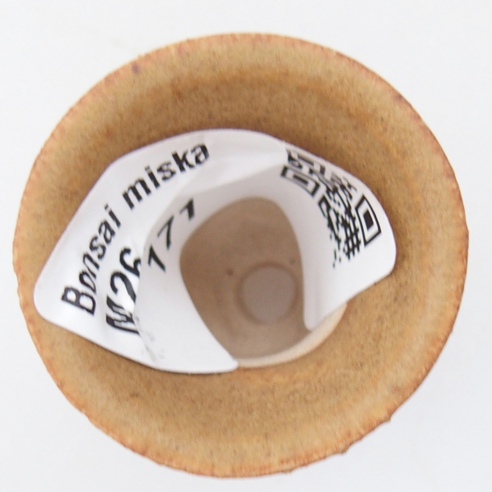 Mini bonsaischaal 3 x 3 x 3,5 cm, bruin