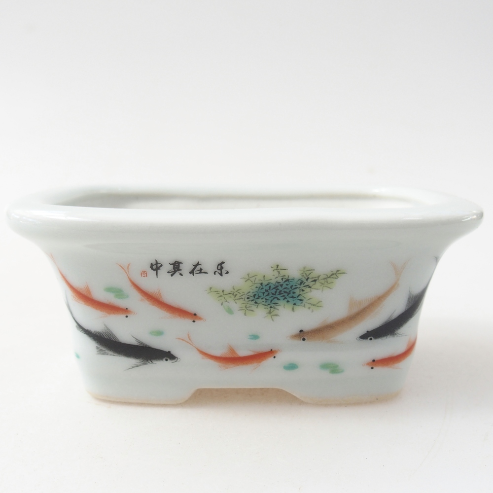 Mini bonsaischaal 10 x 7,5 x 4 cm, kleur wit