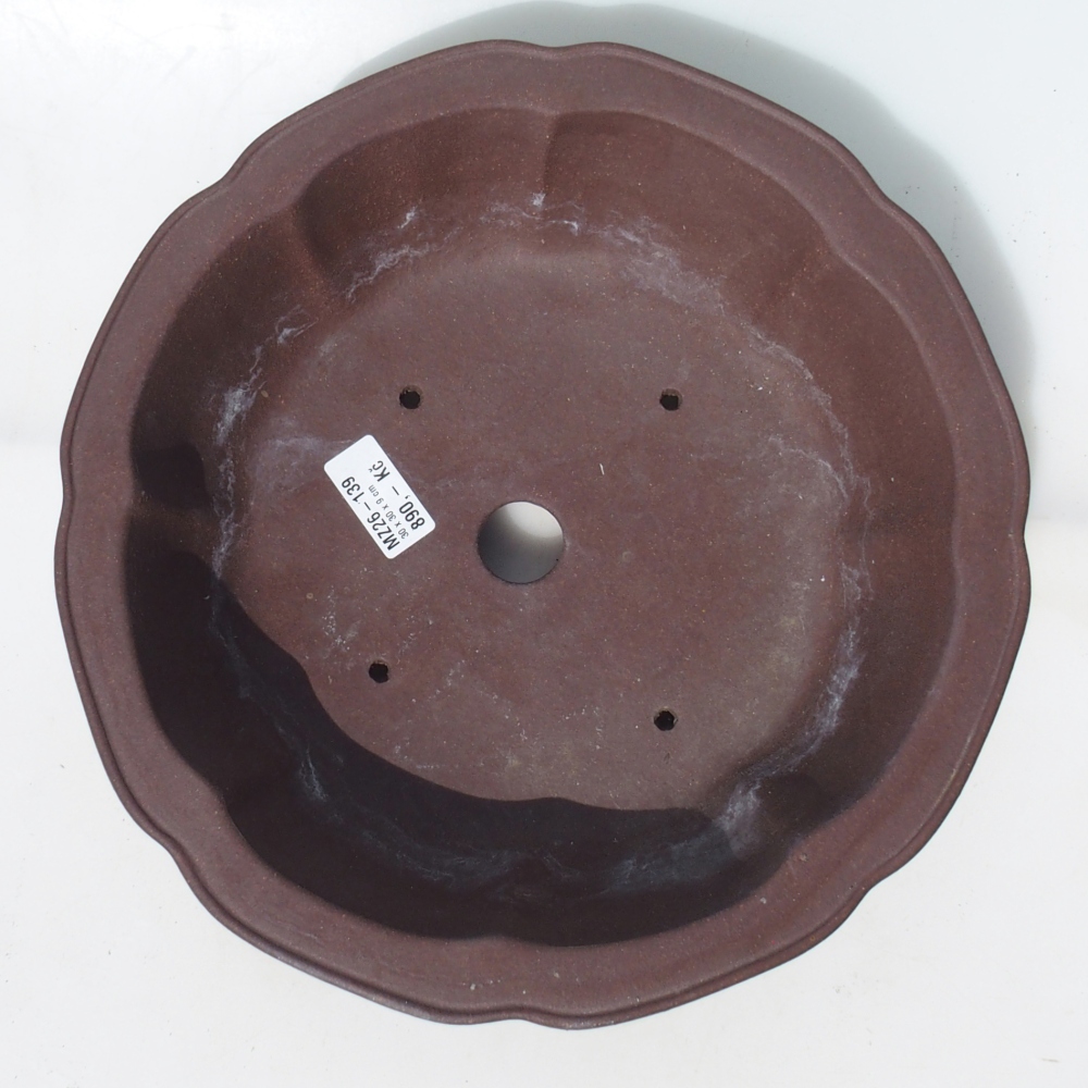 Bonsaischaal 30 x 30 x 9 cm berken bruin