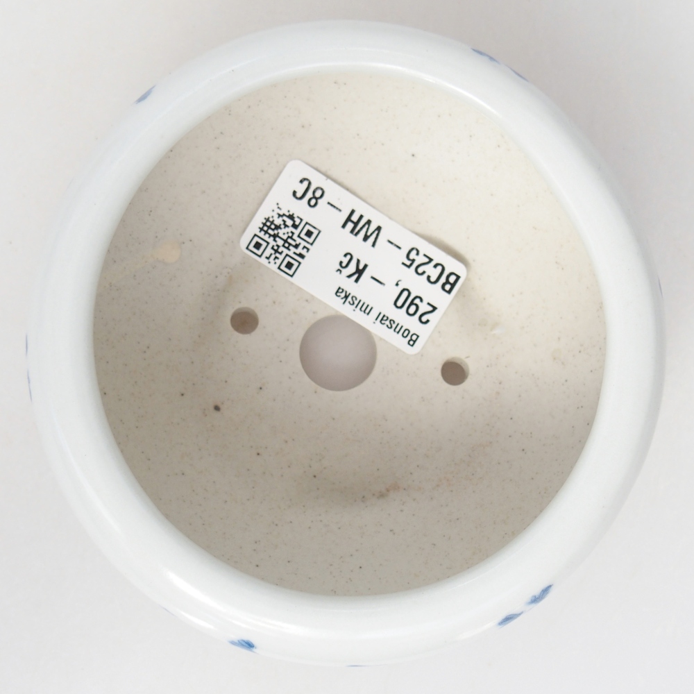 Bonsaischaal van keramiek 10 x 10 x 5 cm, kleur wit