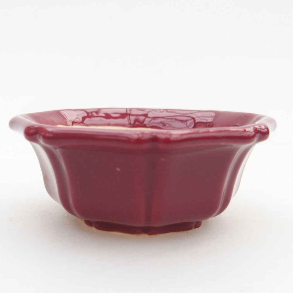Mini bonsaischaal 6 x 6 x 2,5 cm, bordeauxrood