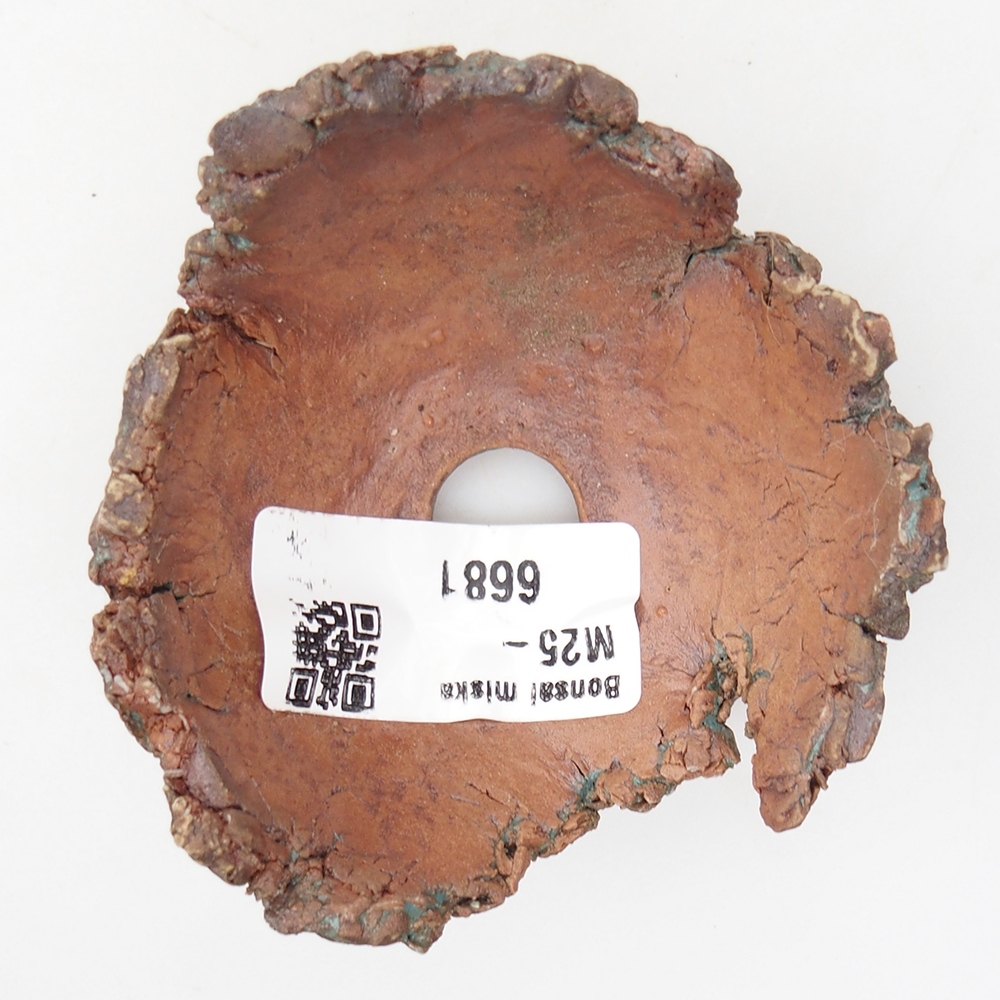 Schelp van keramiek 7,5 x 7 x 4 cm , kleur groen