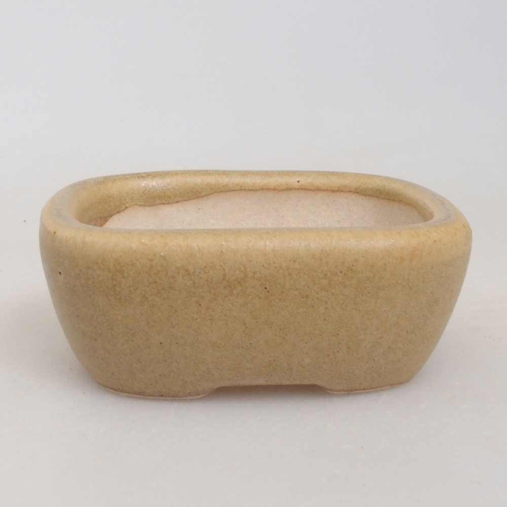 Mini bonsaischaal 5,5 x 4 x 2 cm, bruin