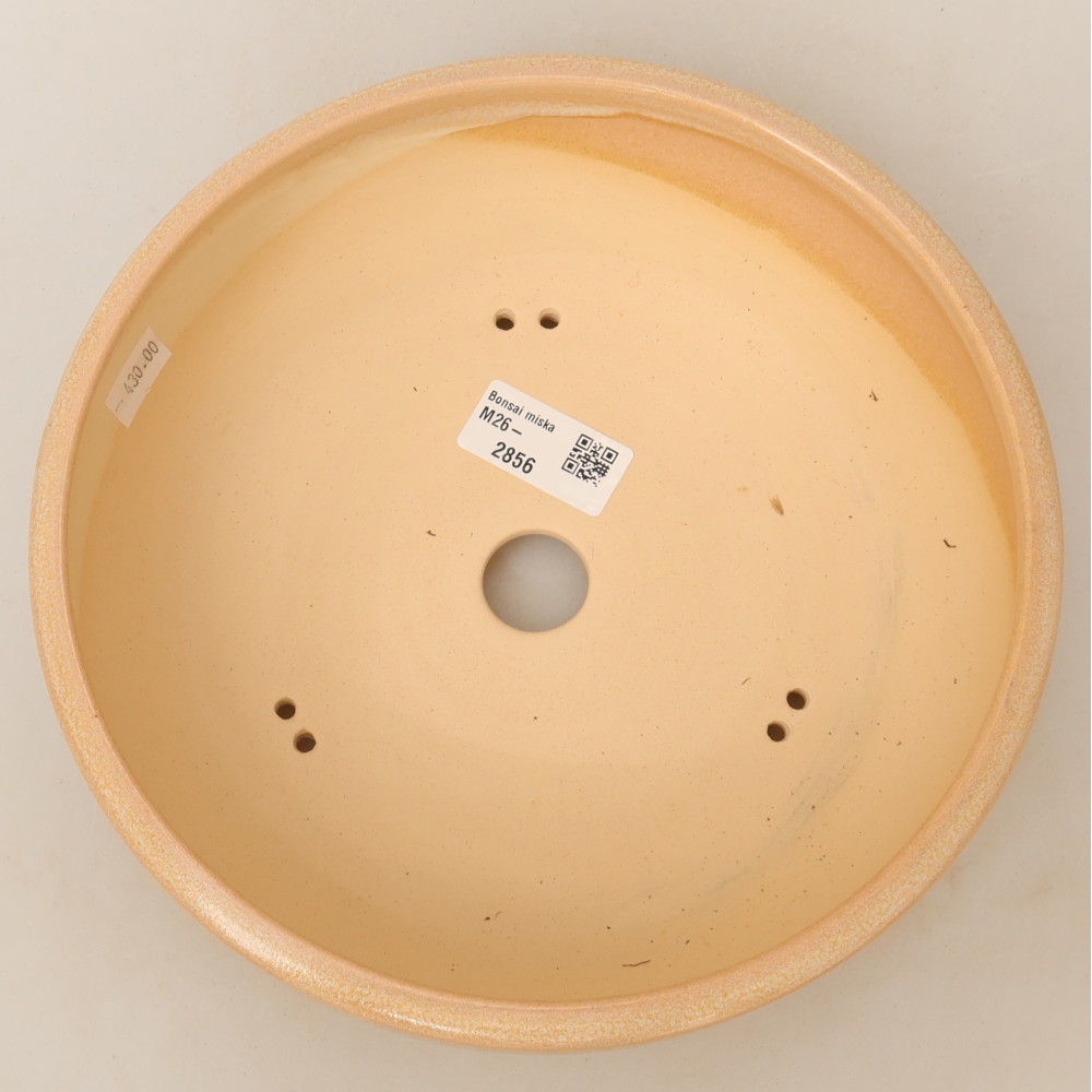 Keramische bonsaipot 22,5 x 22,5 x 6,5 cm, kleur beige