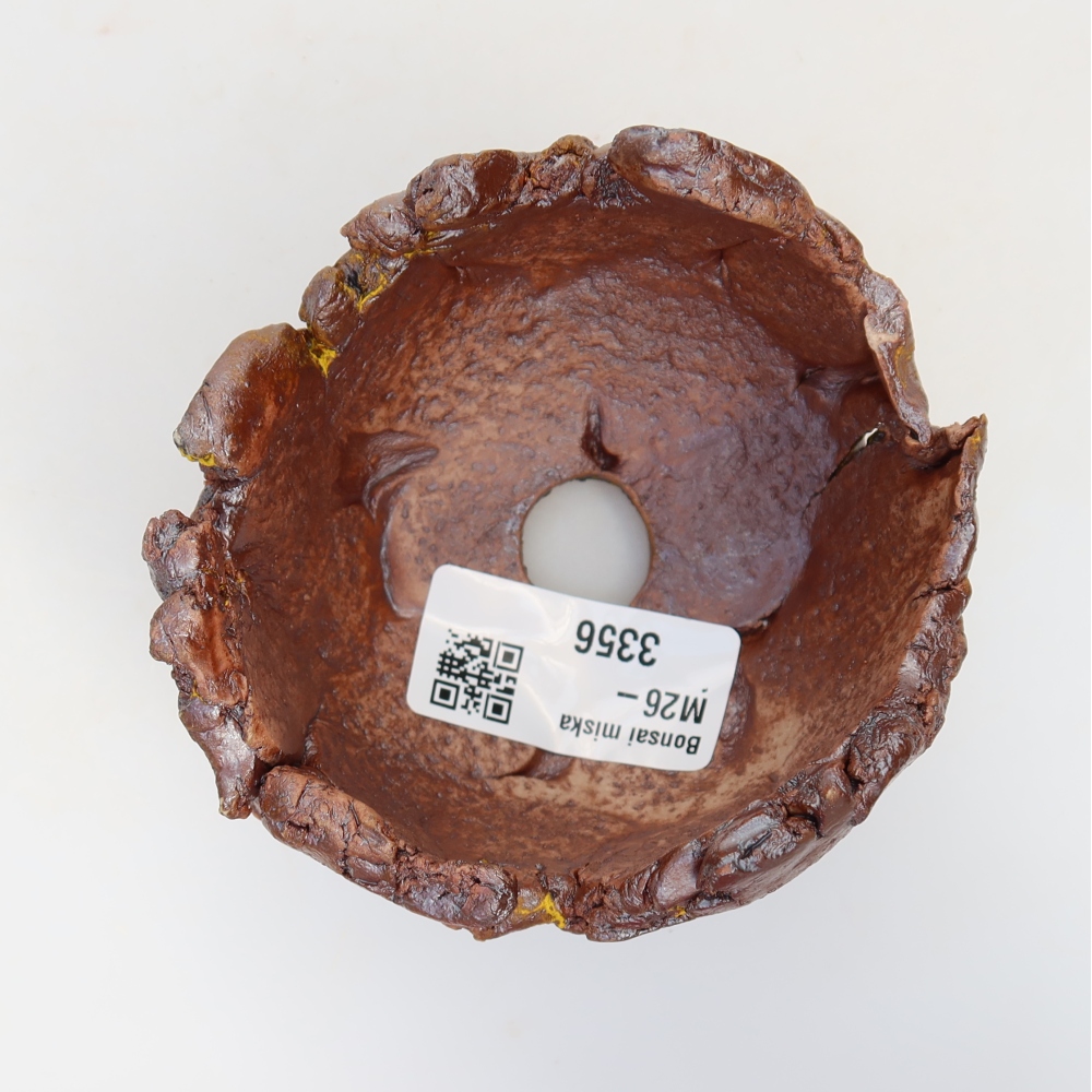 Keramische schelp 9 x 8 x 6 cm , geel