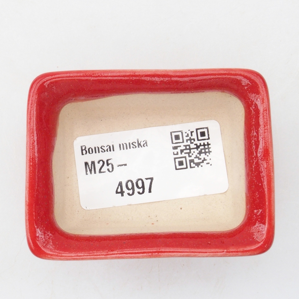 Mini bonsaischaal 5,5 x 4 x 2,5 cm, kleur rood