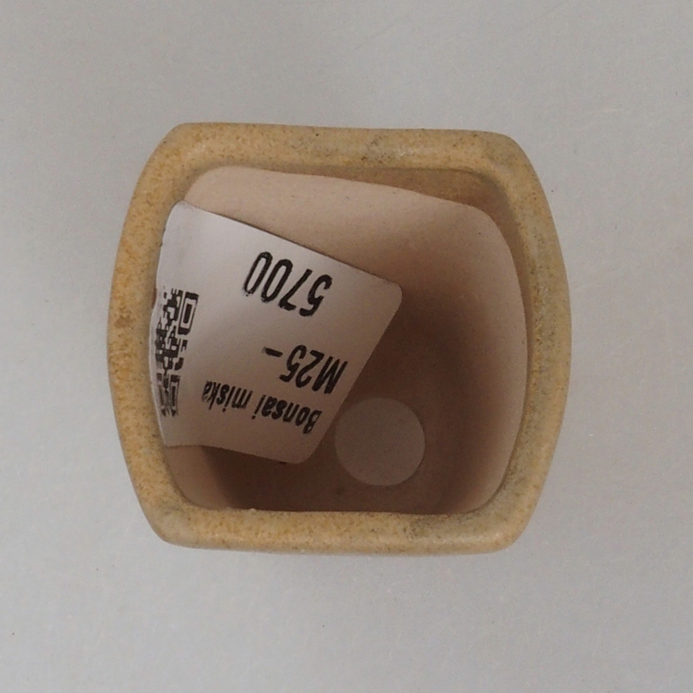 Mini bonsaischaal 3,5 x 3 x 5 cm, bruin