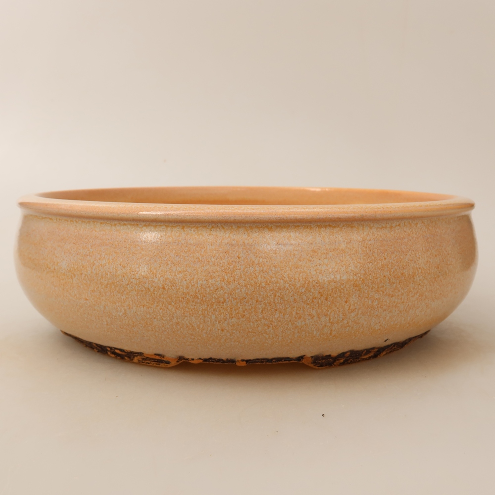 Bonsaischaal van keramiek 24 x 24 x 7 cm, kleur beige
