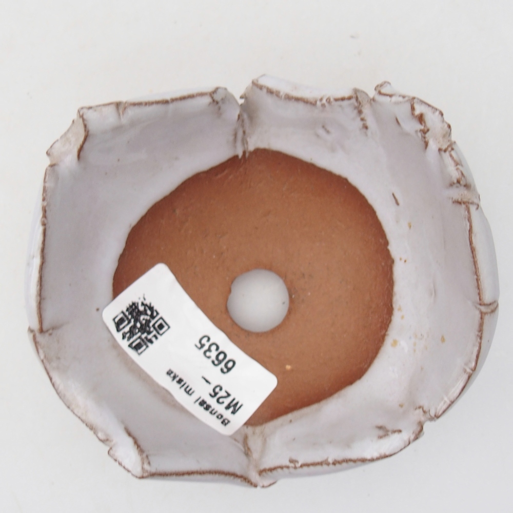 Keramische schelp 9 x 8 x 5 cm , kleur wit