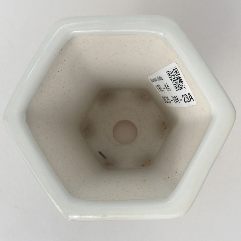 Bonsaischaal van keramiek 10 x 9 x 9 cm, kleur wit