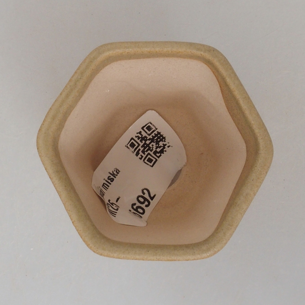 Mini bonsaischaal 5 x 5 x 5 cm, bruin