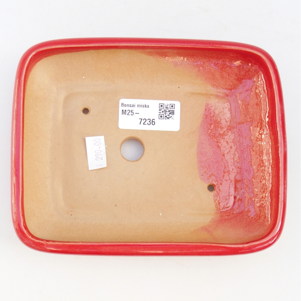Bonsaischaal van keramiek 26 x 26 x 8 cm, kleur rood