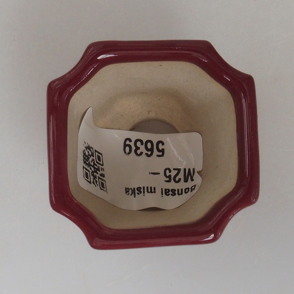 Mini bonsaischaal 4 x 4 x 4 cm, bordeauxrood