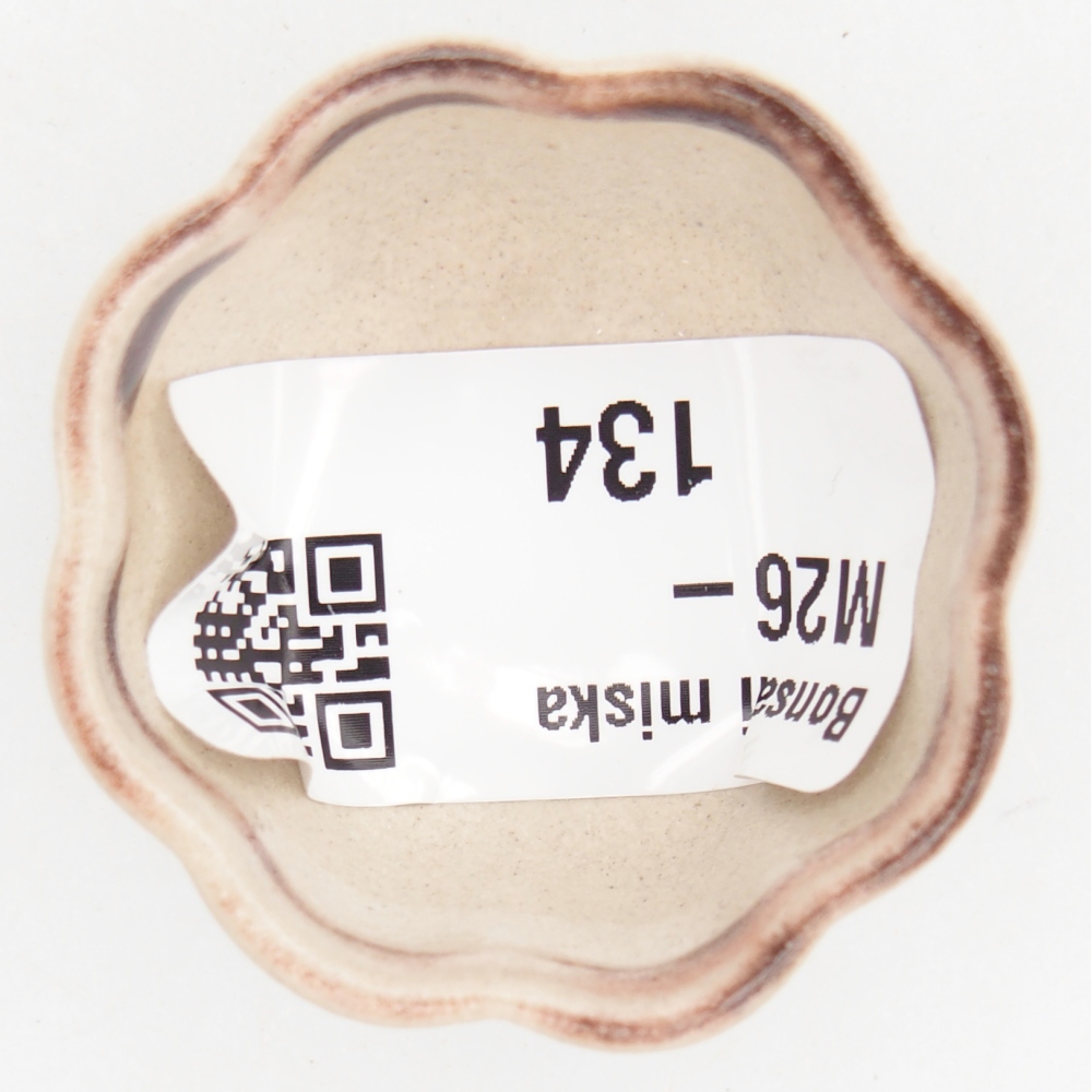 Mini bonsaischaal 4 x 4 x 2 cm, kleur rood