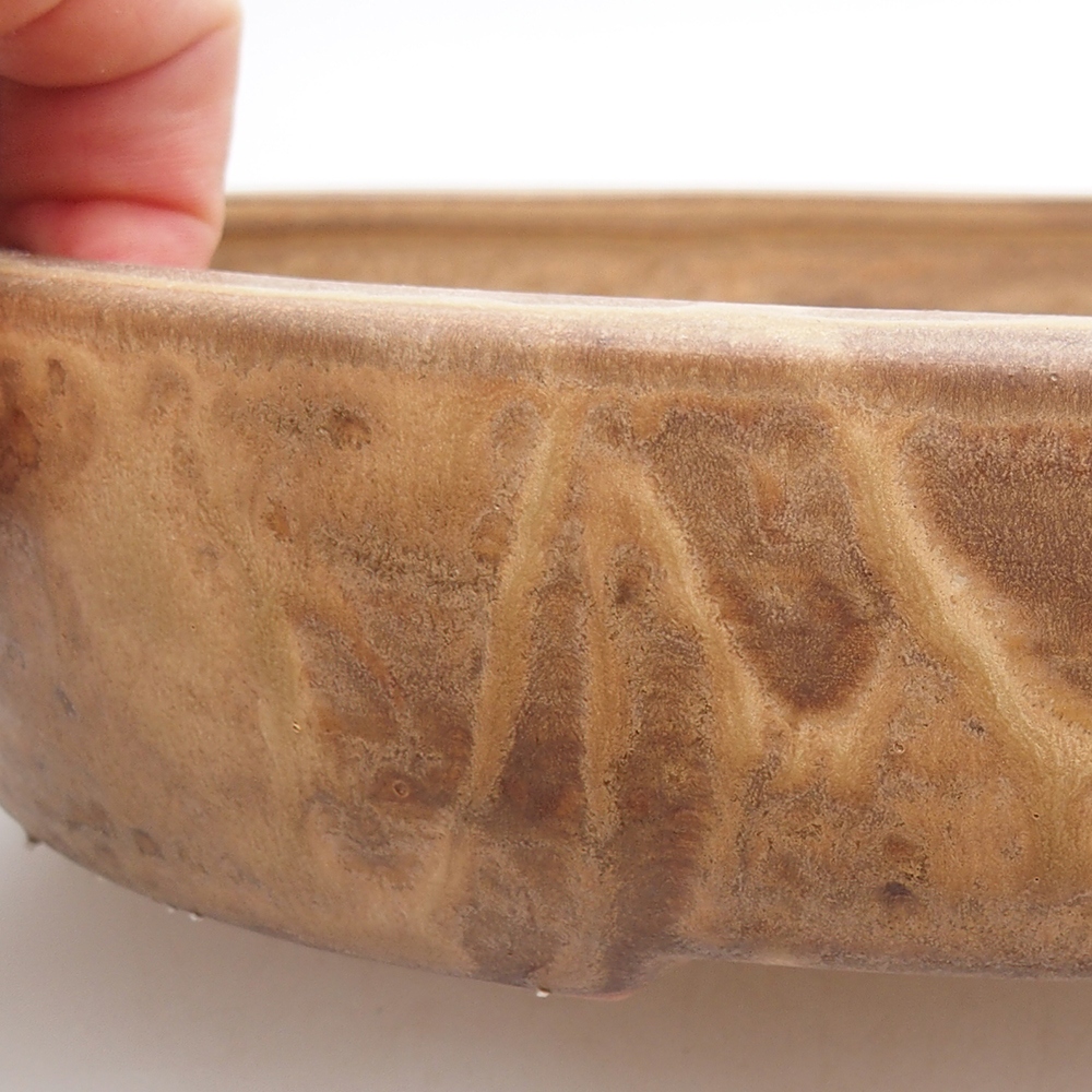 Bonsaischaal van keramiek 26 x 20 x 5 cm, kleur beige