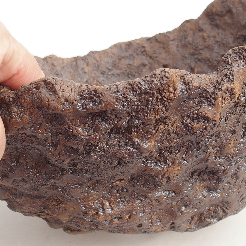 Keramisch Schelp 24 x 22 x 22 cm , kleur bruin