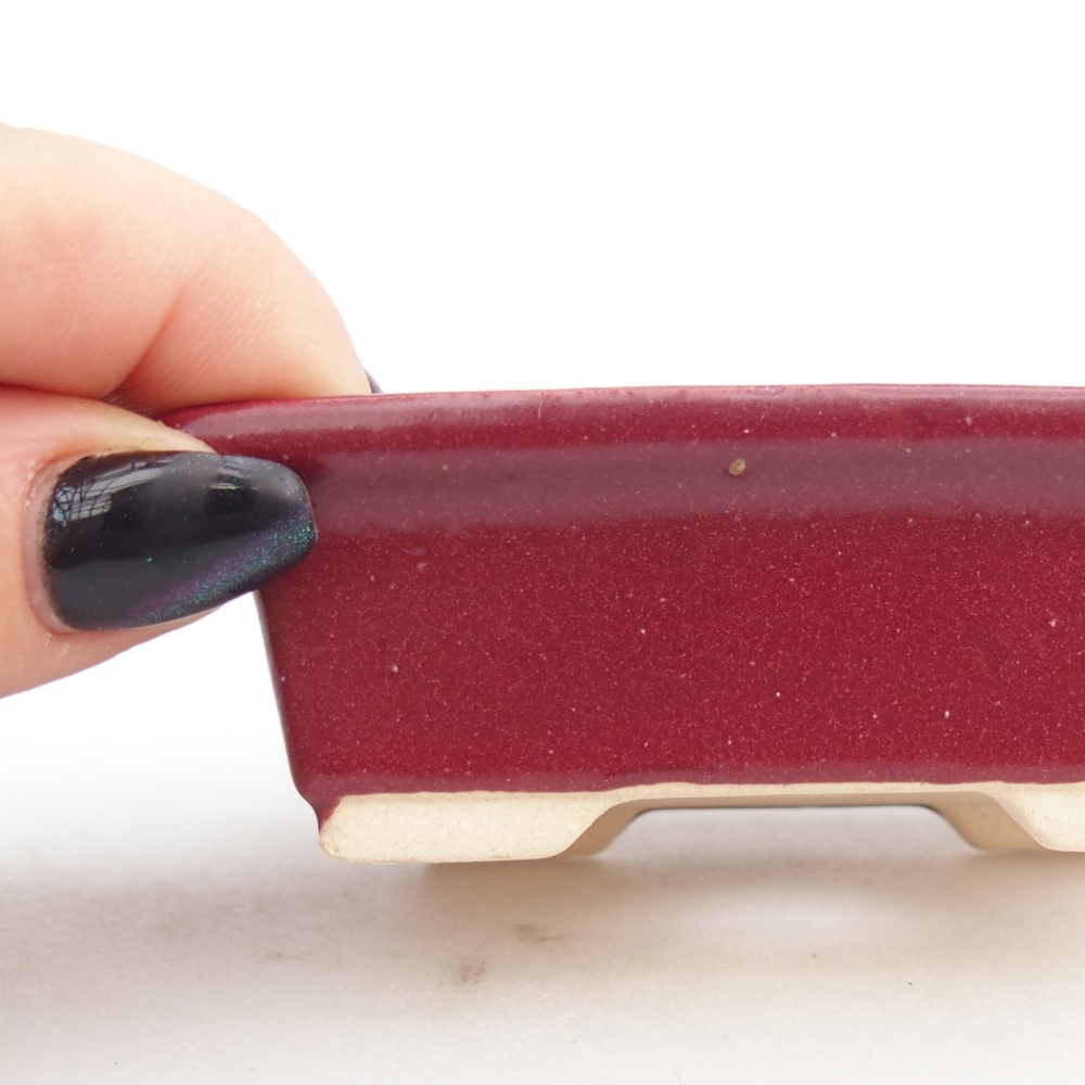 Mini bonsaischaal 8 x 6 x 2,5 cm, bordeauxrood