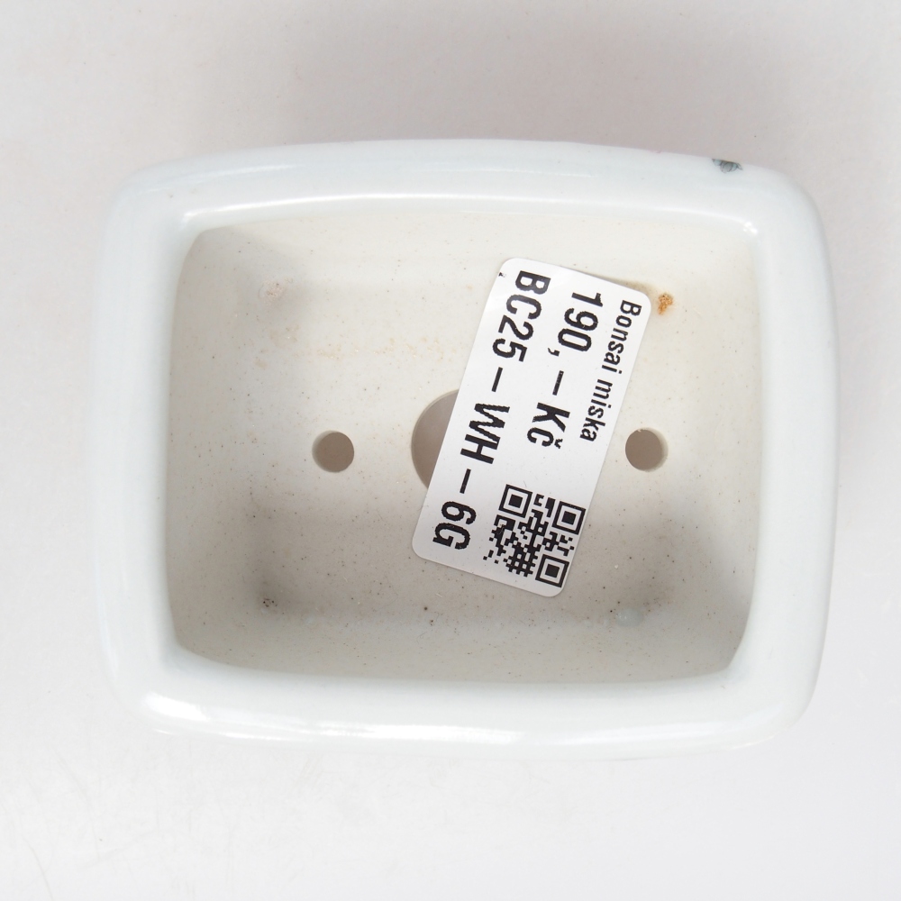 Mini bonsaischaal 8 x 6,5 x 3,5 cm, wit