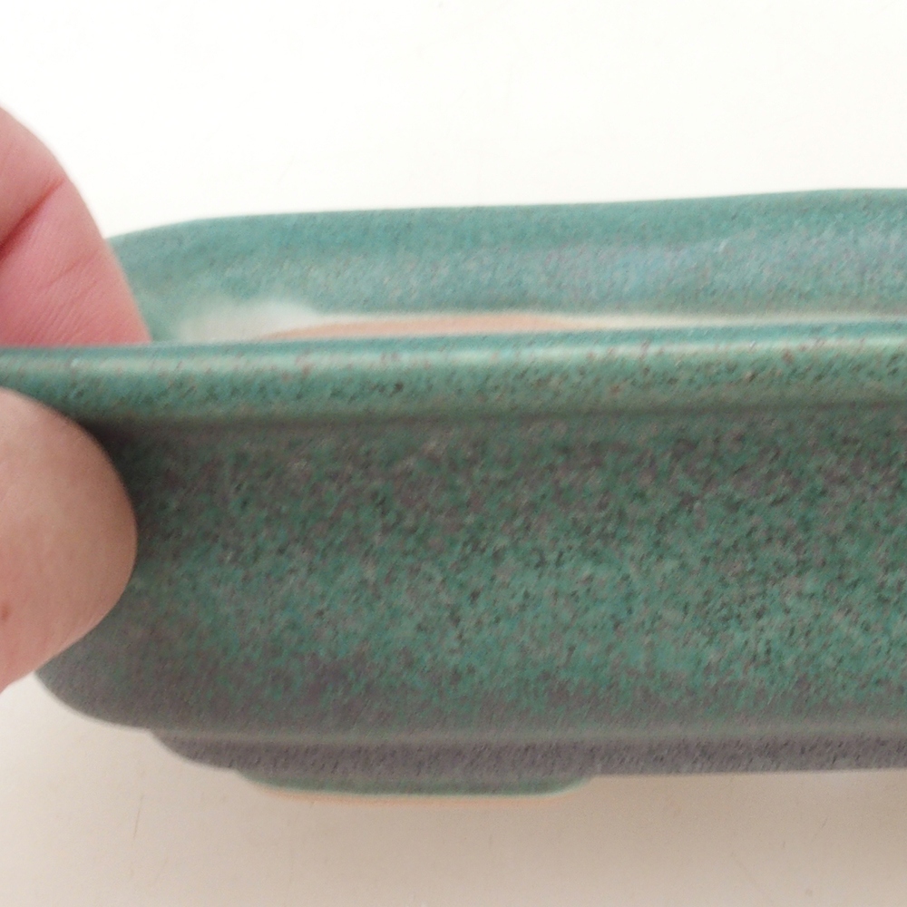 Bonsaischaal H02 - 19 x 13 x 5 cm - groen