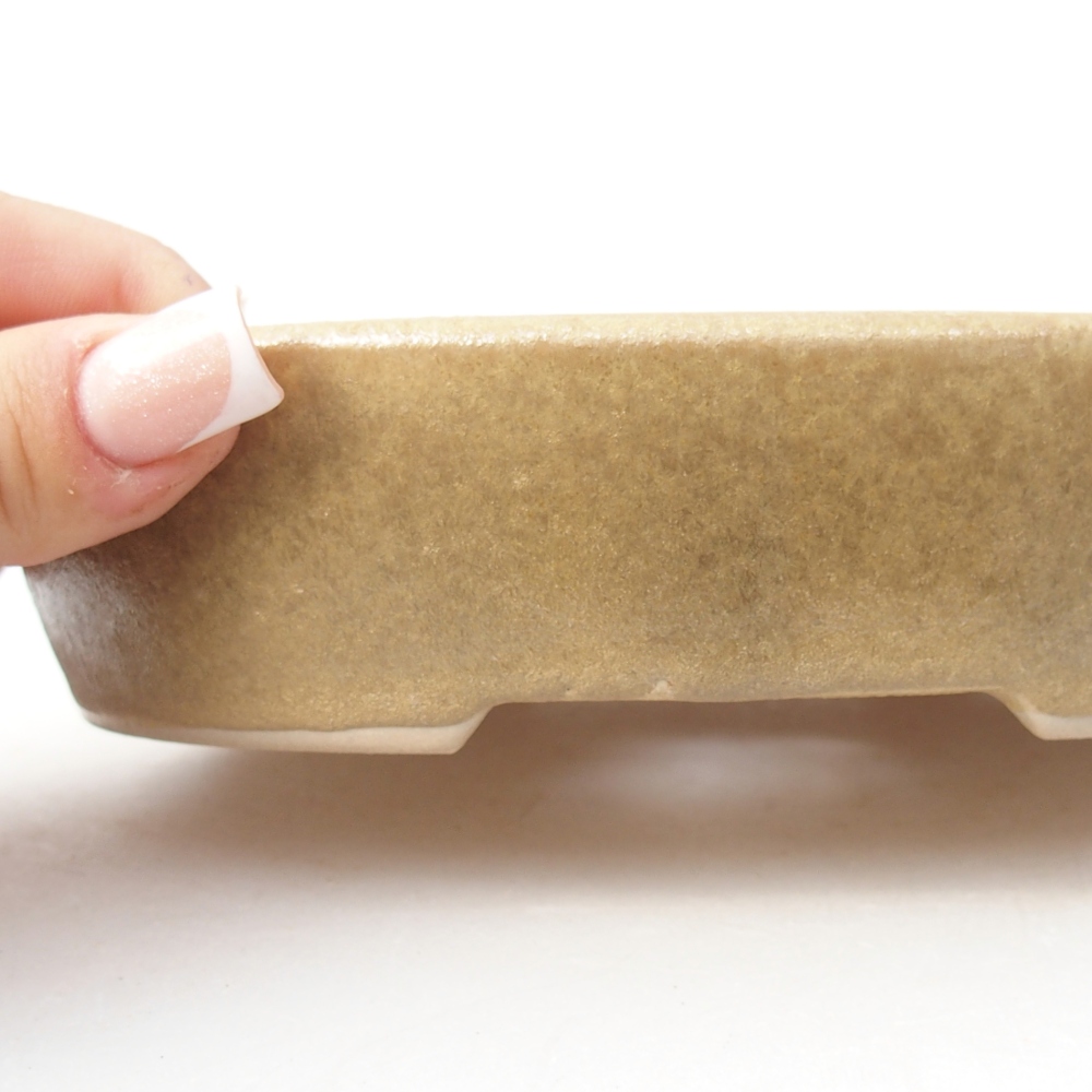 Bonsaischaal van keramiek 17 x 13,5 x 4 cm, kleur beige