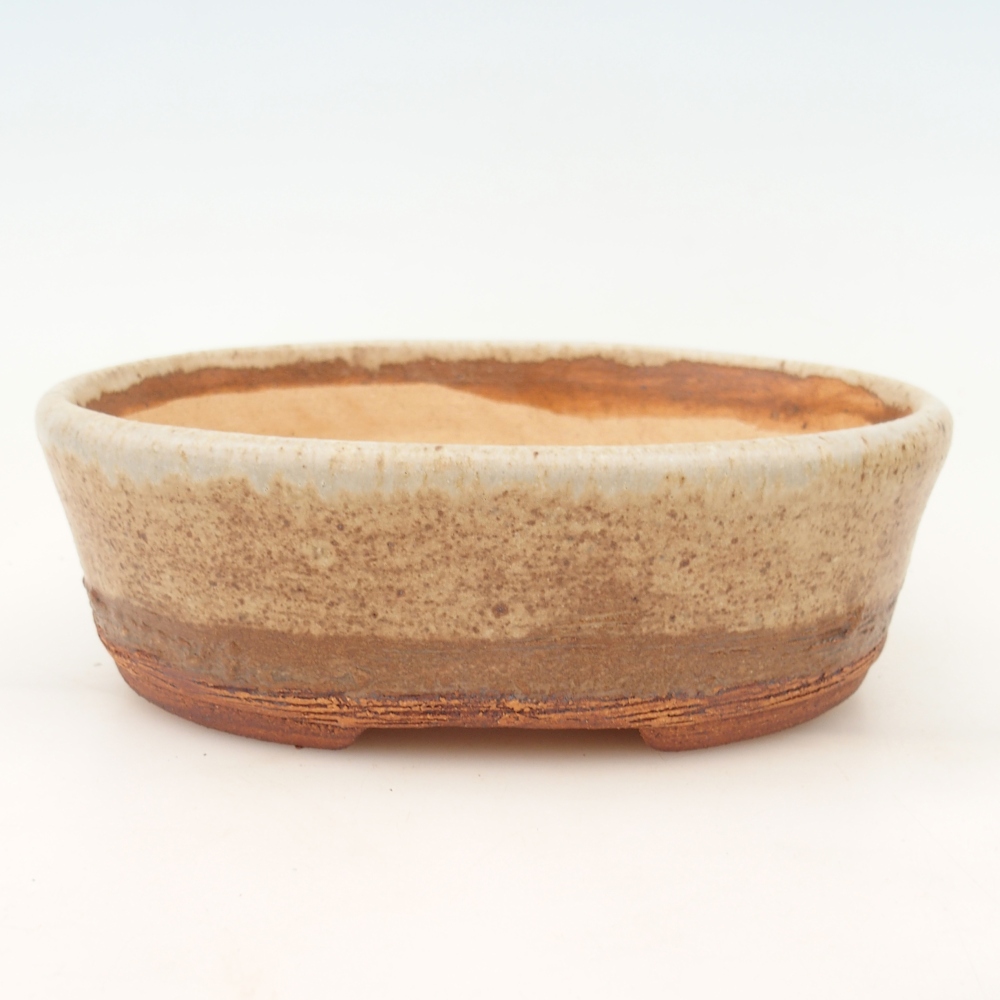 Bonsaischaal 20 x 16 x 6,5 cm , kleur beige