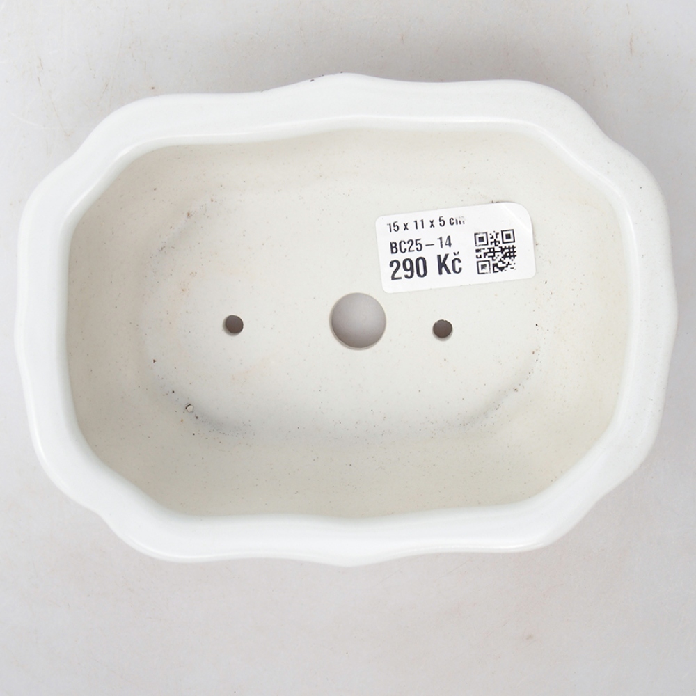 Bonsaischaal van keramiek 15 x 11 x 5 cm, kleur wit