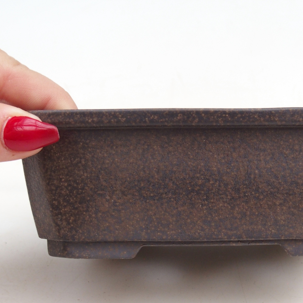 Bonsaischaaltje van keramiek 15 x 11 x 5 cm, okerbruin