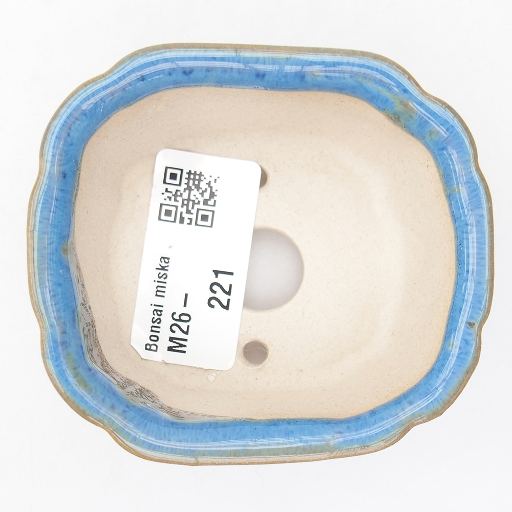 Mini bonsaischaal 7,5 x 7 x 3 cm, kleur blauw