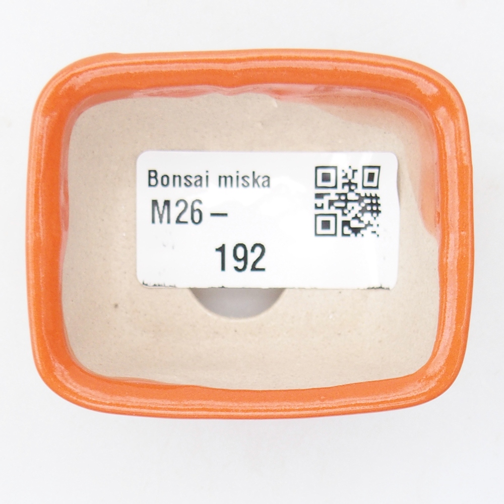 Mini bonsaischaal 6 x 4,5 x 3 cm, oranje