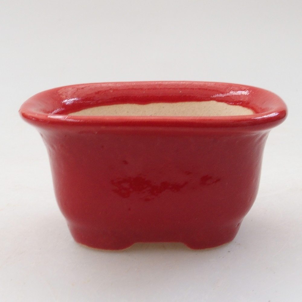 Mini bonsaischaal 6 x 4,5 x 3 cm, kleur rood