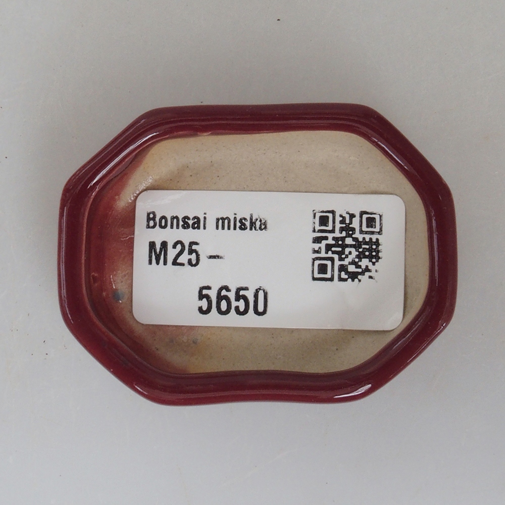 Mini bonsaischaal 5,5 x 4 x 1,5 cm, kleur bordeauxrood