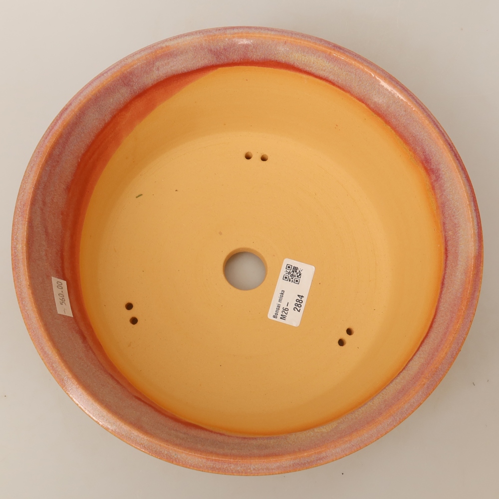 Keramische bonsaipot 25 x 25 x 8 cm, kleur: roze