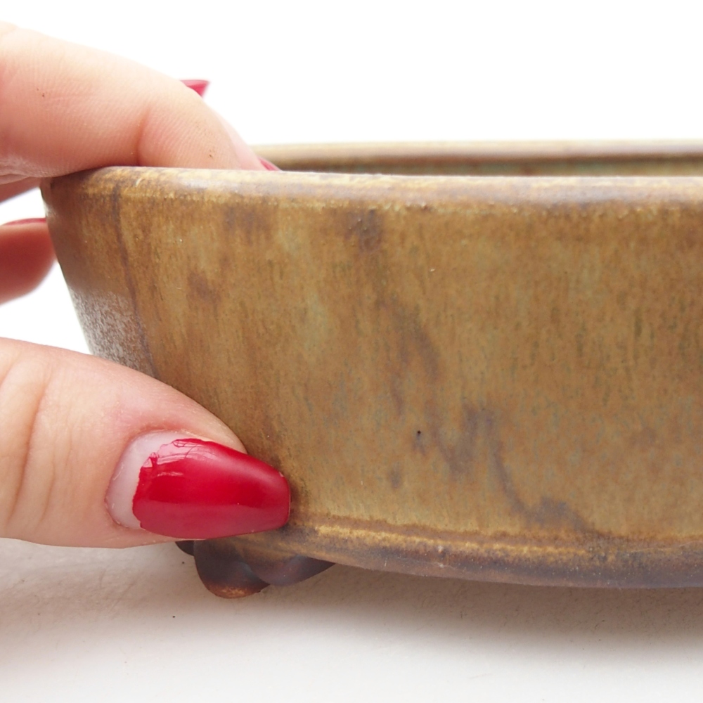 Bonsaischaal van keramiek 15,5 x 15,5 x 5 cm, groen