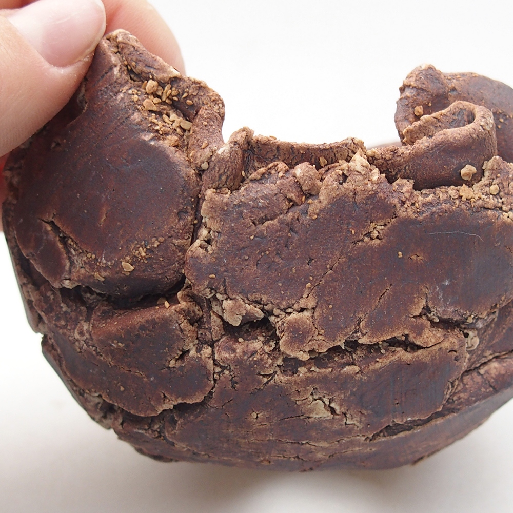 Keramisch Schelp 9 x 8,5 x 6,5 cm , kleur bruin