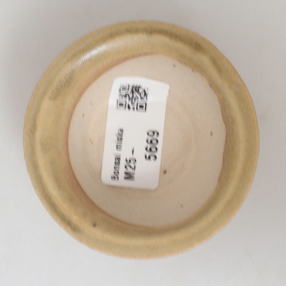 Mini bonsaischaal 7 x 7 x 2,5 cm, bruin