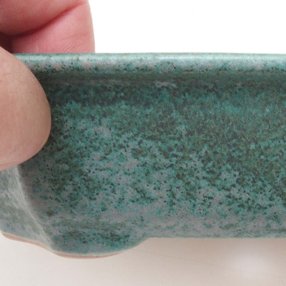 Bonsaischaal H17 - 15 x 10 x 4 cm - groen