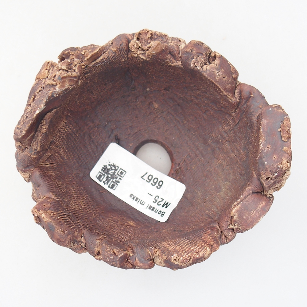 Keramisch Schelp 9 x 9 x 6 cm , kleur bruin