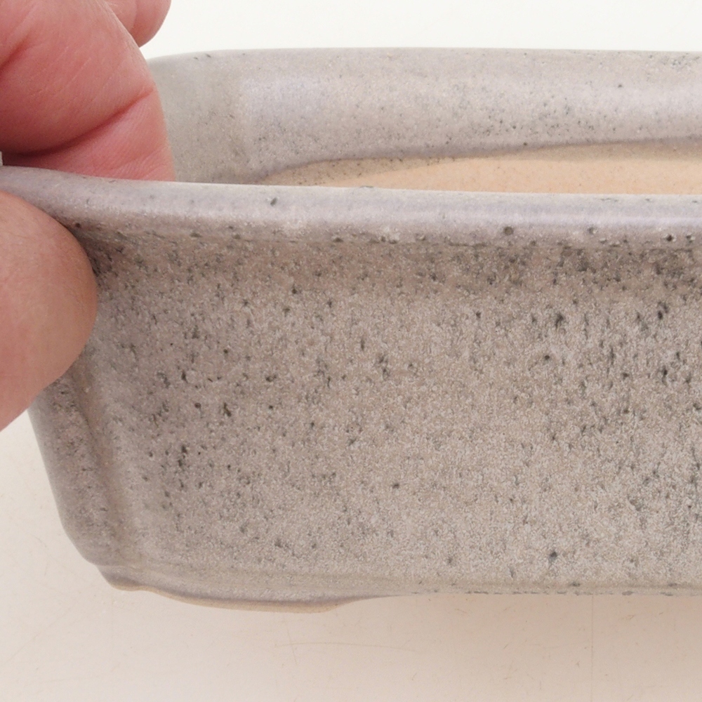 Bonsaischaal H50 - 17 x 12,5 x 5,5 cm - beige