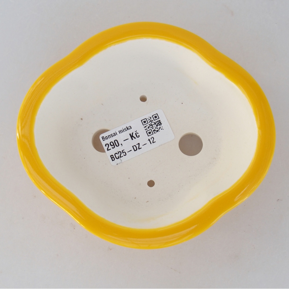 Bonsaischaal van keramiek 13 x 12 x 5 cm, geel
