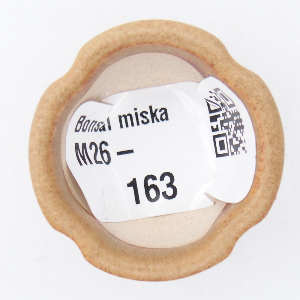 Mini bonsaischaal 3,5 x 3,5 x 2,5 cm, bruin