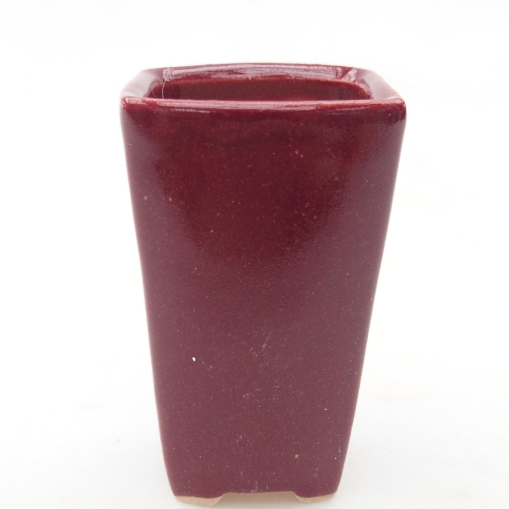 Mini bonsaischaal 3,5 x 3 x 5,5 cm, kleur bordeauxrood