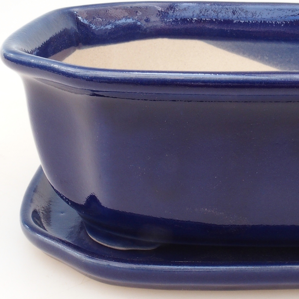 Bonsai kom + schotel H32 - blauw