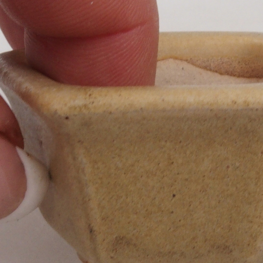 Mini bonsaischaal 5 x 4,5 x 3 cm, bruin