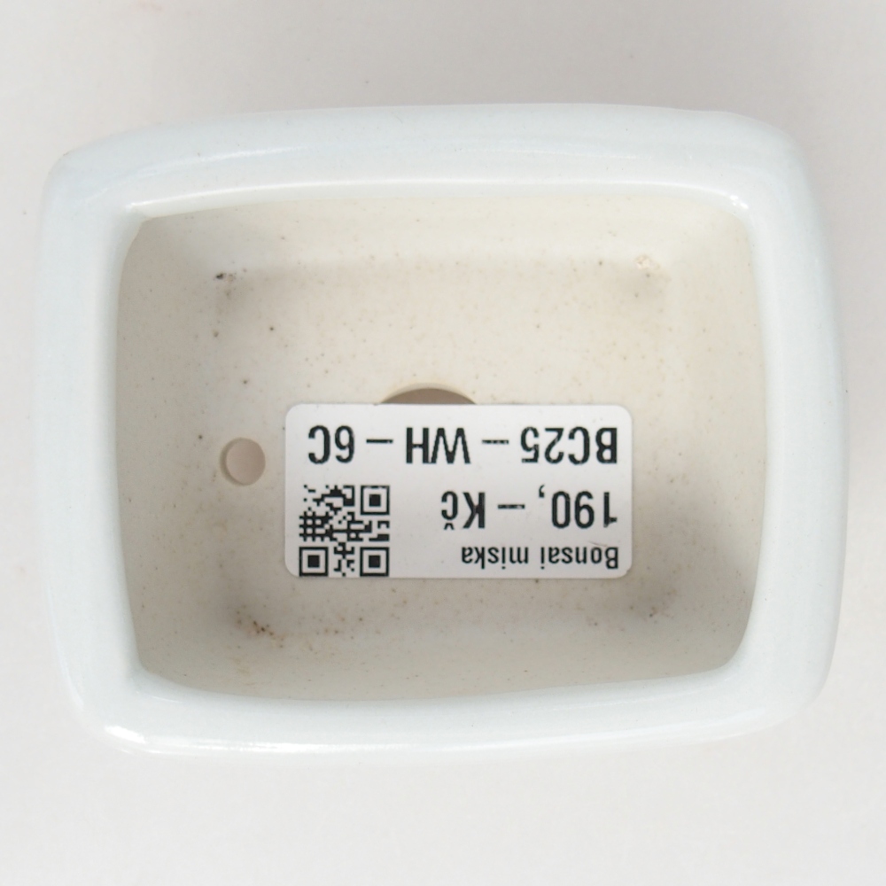 Mini bonsaischaal 8 x 6,5 x 3,5 cm, wit