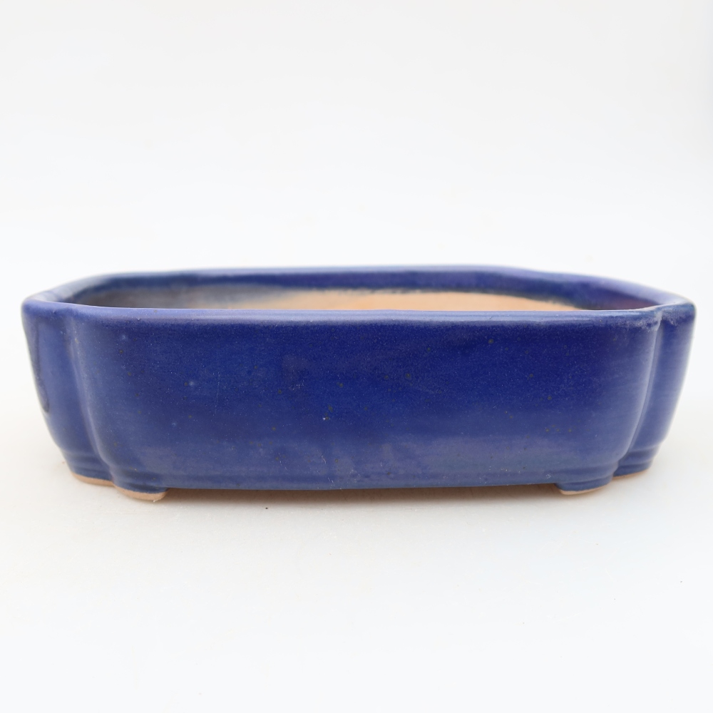 Bonsaischaal van keramiek 16 x 11,5 x 4 cm, kleur blauw
