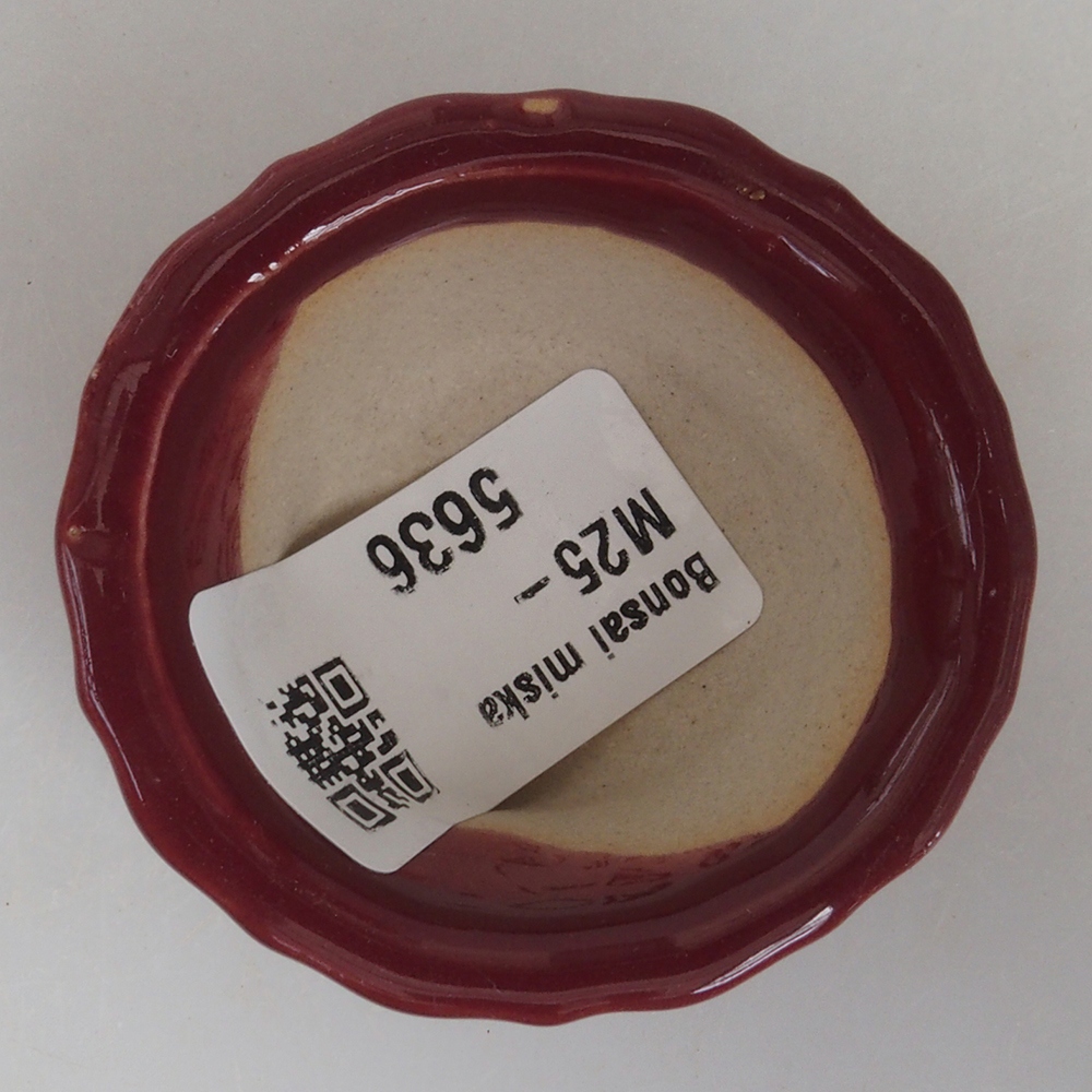 Mini bonsaischaal 5 x 5 x 2,5 cm, kleur bordeauxrood