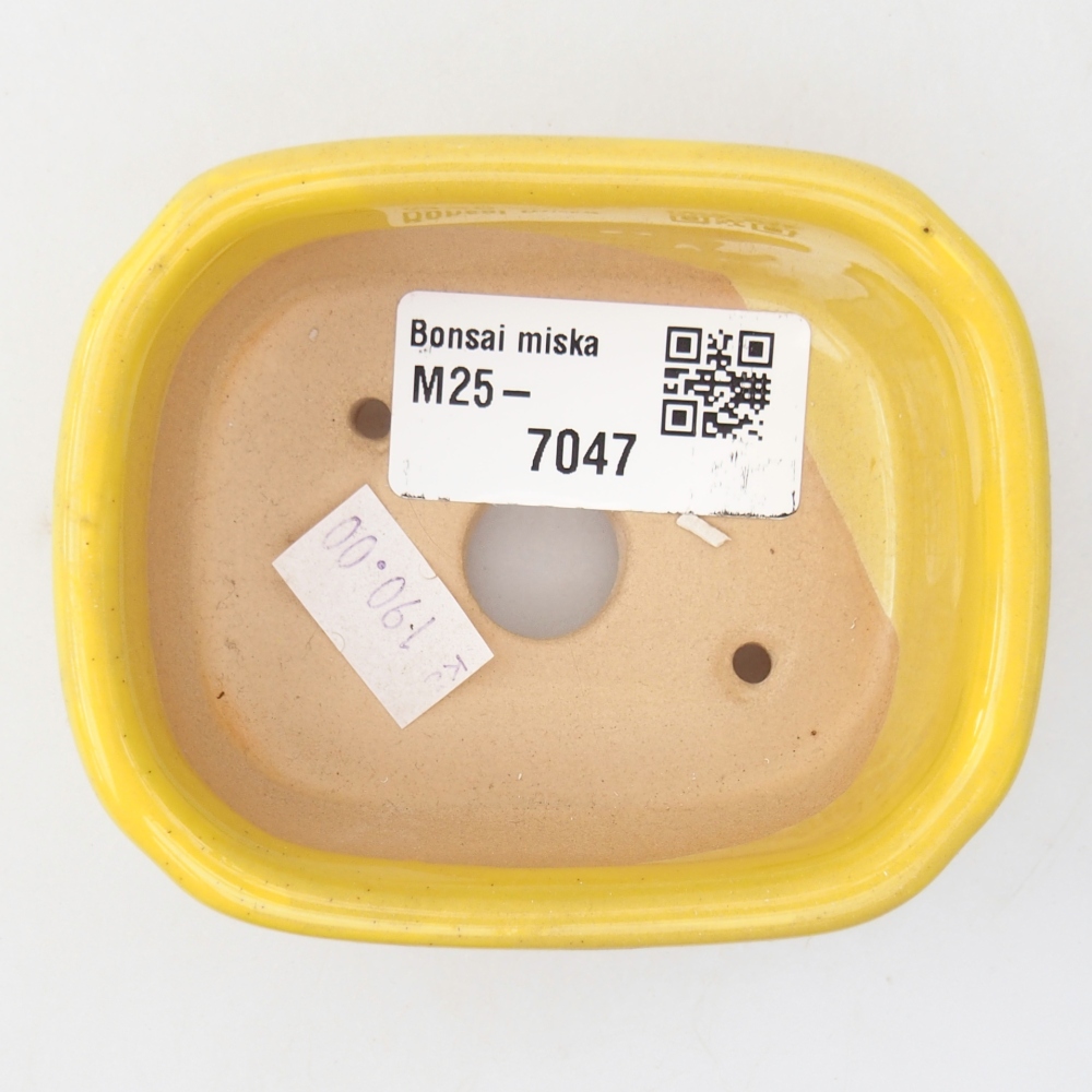 Bonsaischaal van keramiek 26 x 26 x 8 cm, kleur rood