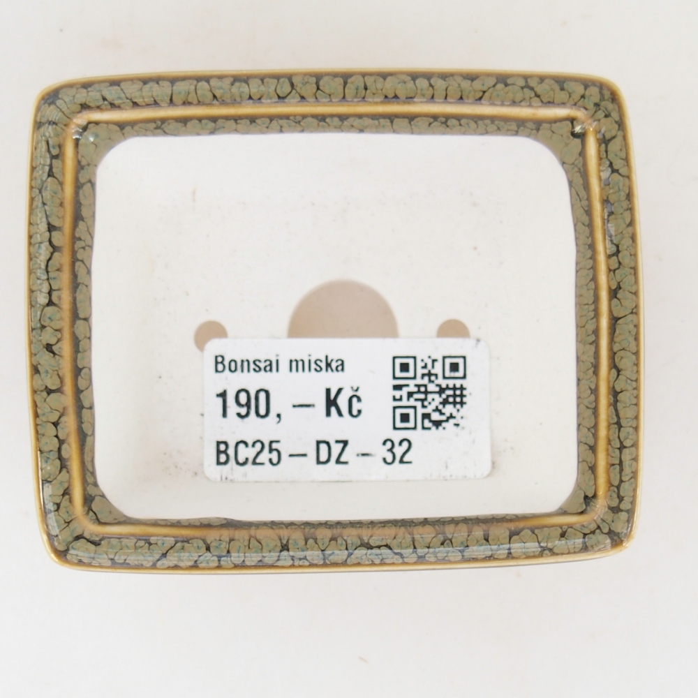 Mini bonsaischaal 7,5 x 6 x 3 cm, groen