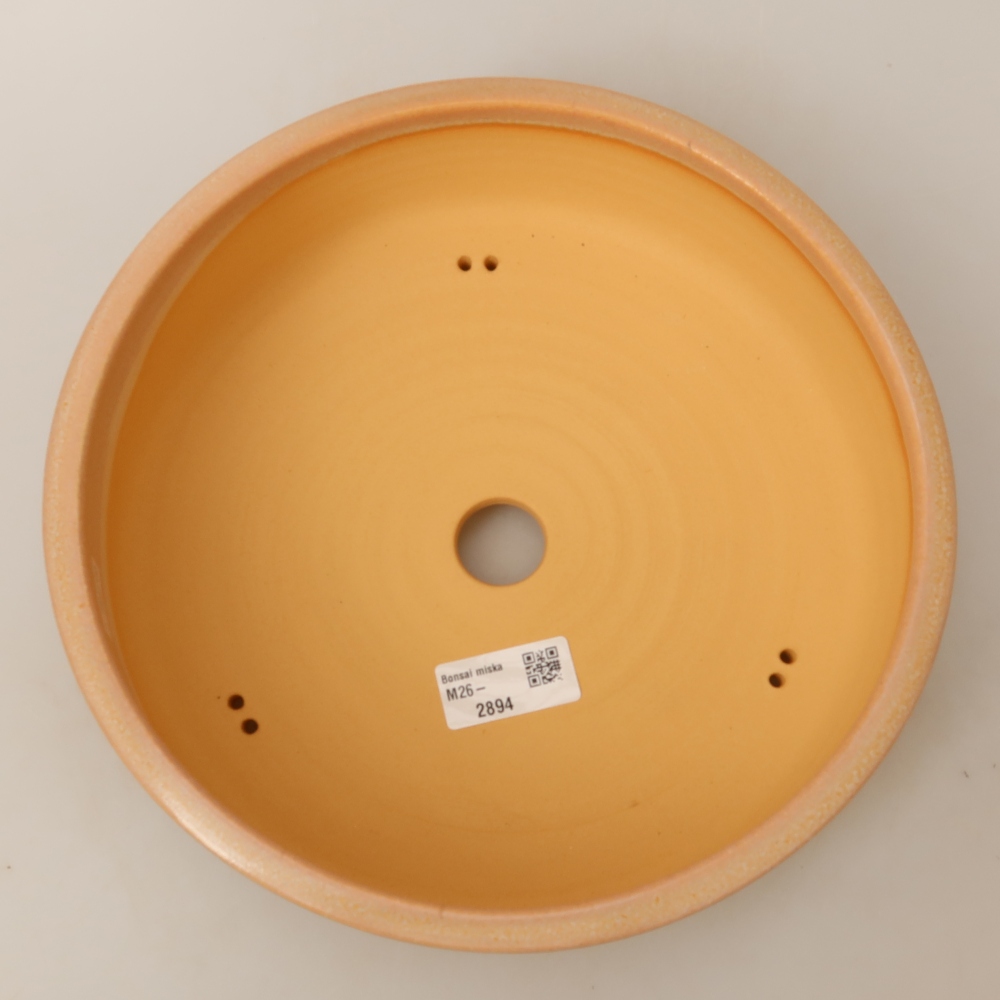 Bonsaischaal van keramiek 24,5 x 24,5 x 7 cm, kleur beige